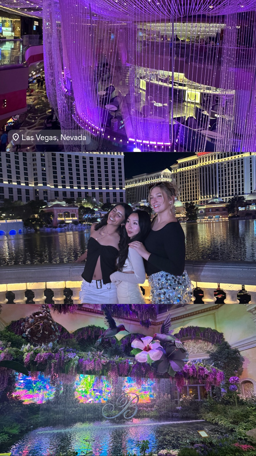 Las Vegas recap: the chandelier bar, the Bellagio fountains, and the conservatory